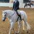 MSQHA Spring Show